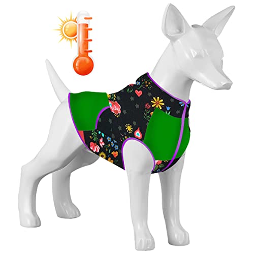 LovinPet f5fa Hundemantel, einfach zu tragen, versteckter Canyon-Nachtdruck, Hundekleidung mit gemütlichem Hundefutter, warme Winterkleidung für kleine bis große Hunde von LovinPet