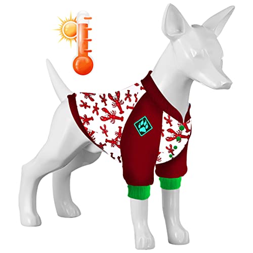 LovinPet f7fa Hundemantel, leicht zu tragen, Hundekleidung mit gemütlichem Hundefutter, warme Winterkleidung für kleine bis große Hunde von LovinPet