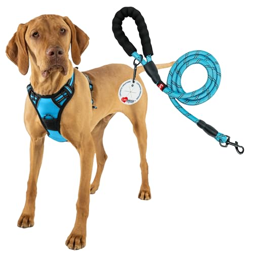 Lovtastic Creations Reflektierendes Hundegeschirr, mit Hundeleine und Kotbeutelhalter, reflektierend, kein Würgen, Größe S, 3-teilig Lovtastic Creations Reflektierendes Hundegeschirr, mit Hundeleine und Kotbeutelhalter, reflektierend, kein Würgen, Größe S, 3-teilig von Lovtastic Creations