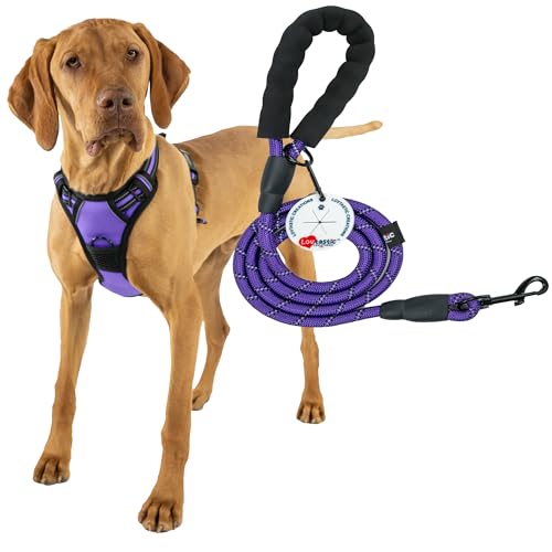 Lovtastic Creations Reflektierendes Hundegeschirr, mit Hundeleine und Kotbeutelhalter, reflektierend, kein Würgen, Größe XL, 3-teilig Lovtastic Creations Reflektierendes Hundegeschirr, mit Hundeleine und Kotbeutelhalter, reflektierend, kein Würgen, Größe XL, 3-teilig von Lovtastic Creations