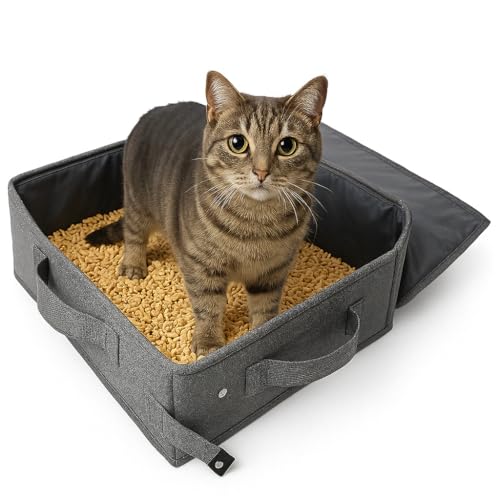 Loyareal Tragbare Reise-Katzentoilette für Katzen, Klein Faltbare Reise-Katzentoilette mit Reißverschluss Deckel, Kein Geruch, Wasserdicht, Auslaufsicher, für Auto Hotel und Outdoor, Grau Loyareal Tragbare Reise-Katzentoilette für Katzen, Klein Faltbare Reise-Katzentoilette mit Reißverschluss Deckel, Kein Geruch, Wasserdicht, Auslaufsicher, für Auto Hotel und Outdoor, Grau von Loyareal