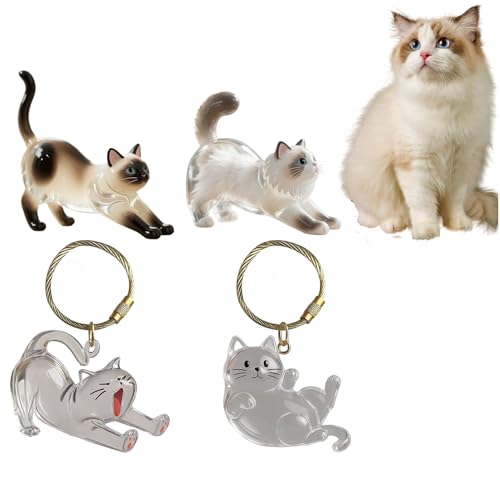 Lpoppcx Schlüsselanhänger Mit Katzenhaar Aufbewahrungsflasche,4 Stück Katzenhaar-Schlüsselanhänger,Transparente Katzenhaarspeicherbox, Cat Hair Memorial Capsules Schlüsselbund Unisex Geschenk von Lpoppcx