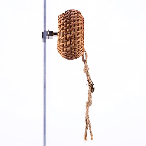 Lpoppcx Springspinnen Versteck | Rattan Echsen-Versteck - Magnetisches Kleinterrarium Deko Für Einsiedlerkrebse Gottesanbeterinnen Vogelspinnen Schnecken Baumlebende Wirbellose Unterschlupf Lpoppcx Springspinnen Versteck | Rattan Echsen-Versteck - Magnetisches Kleinterrarium Deko Für Einsiedlerkrebse Gottesanbeterinnen Vogelspinnen Schnecken Baumlebende Wirbellose Unterschlupf von Lpoppcx