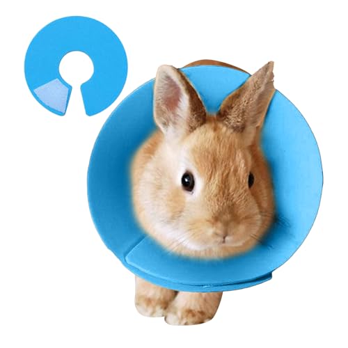 Lpoppcx Vogel Halskragen,Kaninchen Leck Schutz Halskragen | Anti-Beiß Halsband Für Kleintiere Zur Haarausfall Verhütung Katze Hase Frettchen Sittich Mäuse Training Lpoppcx Vogel Halskragen,Kaninchen Leck Schutz Halskragen | Anti-Beiß Halsband Für Kleintiere Zur Haarausfall Verhütung Katze Hase Frettchen Sittich Mäuse Training von Lpoppcx