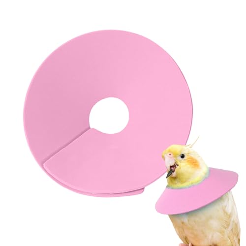 Lpoppcx Vogel Halskragen | Kaninchen Leck Schutz Halskragen,Anti-Beiß Halsband Für Kleintiere Zur Haarausfall Verhütung Katze Hase Frettchen Sittich Mäuse Training Lpoppcx Vogel Halskragen | Kaninchen Leck Schutz Halskragen,Anti-Beiß Halsband Für Kleintiere Zur Haarausfall Verhütung Katze Hase Frettchen Sittich Mäuse Training von Lpoppcx