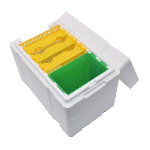 Box für, Honigbienen -Starter -Kit, Terrasse Bienenzuchtbox, einfach zu handhaben, leicht, 24x15x16,5 cm/9.45x5.91 x 6,5 Zoll, für Hinterhof Terrasse Live Box für, Honigbienen -Starter -Kit, Terrasse Bienenzuchtbox, einfach zu handhaben, leicht, 24x15x16,5 cm/9.45x5.91 x 6,5 Zoll, für Hinterhof Terrasse Live von Lpsdssre