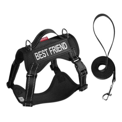 Cat T-Actical Brustplate Und L-EASH, Einstellbare Weiche Mesh Anti-Eskape-L-EASH, Reflektierende Katzenkabelbaum, Verstellbare Gurte, Sichere Outdoor-Abenteuer Für Kleines Bis Großes Kätz Cat T-Actical Brustplate Und L-EASH, Einstellbare Weiche Mesh Anti-Eskape-L-EASH, Reflektierende Katzenkabelbaum, Verstellbare Gurte, Sichere Outdoor-Abenteuer Für Kleines Bis Großes Kätz von Lpsdssre