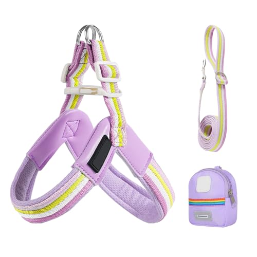 Hundekabelbaum -Traktionsseil, vielseitiger Gebrauch, 20x18x2cm, einstellbares Hundegied, Pet -Sicherheitsgurt, ergonomische Passform für Wanderpark -Gartenwanderungen Hundekabelbaum -Traktionsseil, vielseitiger Gebrauch, 20x18x2cm, einstellbares Hundegied, Pet -Sicherheitsgurt, ergonomische Passform für Wanderpark -Gartenwanderungen von Lpsdssre