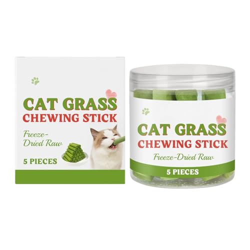 Katzengras -Zahne Stick, Zahnstangen Zahnärztliche , Katzenministerspielzeug Natürlicher Oraler Reinigung, Natürliche Beruhigende Formel, Verdauungshaarballunterstützung, 4,8x9.8 Cm, Für Die Katz Katzengras -Zahne Stick, Zahnstangen Zahnärztliche , Katzenministerspielzeug Natürlicher Oraler Reinigung, Natürliche Beruhigende Formel, Verdauungshaarballunterstützung, 4,8x9.8 Cm, Für Die Katz von Lpsdssre