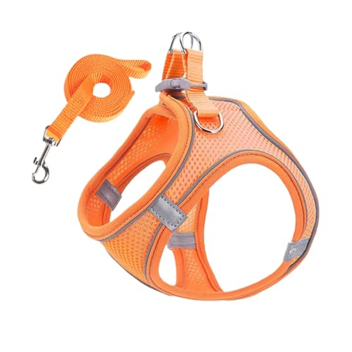 Lpsdssre Hundegeschirr mit Leinen - Mesh Geschirr und Hundeleinen Kombination - Atmungsaktives Ausbruchssicheres Geschirr Für Welpen Kätzchen Wanderungen Tierarzt Camping Training von Lpsdssre