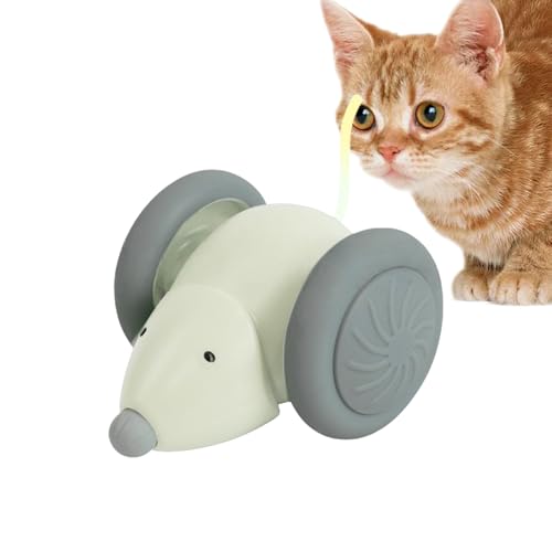 Lpsdssre Katzenspielzeug, interaktives Katzenspielzeug, intelligentes Katzenspielzeug, berührungsaktivierter Spaß, realistische Mo-use-Bewegung, fördert gesunde Bewegung, 6,5 x 4 cm, ideal für den Lpsdssre Katzenspielzeug, interaktives Katzenspielzeug, intelligentes Katzenspielzeug, berührungsaktivierter Spaß, realistische Mo-use-Bewegung, fördert gesunde Bewegung, 6,5 x 4 cm, ideal für den von Lpsdssre