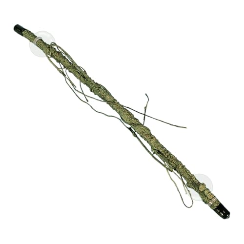 Lpsdssre Reptilien-Tank-Zweig, Eidechsen-Kletterdekoration, Schlangenkäfig-Ornament, starker Saugnapf, Mehrzweck-Lebensraumverbesserung 50 cm, für Bartagamen, Einsiedlerkrebse Lpsdssre Reptilien-Tank-Zweig, Eidechsen-Kletterdekoration, Schlangenkäfig-Ornament, starker Saugnapf, Mehrzweck-Lebensraumverbesserung 50 cm, für Bartagamen, Einsiedlerkrebse von Lpsdssre