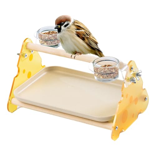 Papageien -Trainingsständer, Papageien -Übungs -Playpen, Tischvogel -Fitnessstudio, Kompakt, Leicht, 24,8x17x15,4 cm, Für Conures Wellensittiche Lovebirds Finches Papageien -Trainingsständer, Papageien -Übungs -Playpen, Tischvogel -Fitnessstudio, Kompakt, Leicht, 24,8x17x15,4 cm, Für Conures Wellensittiche Lovebirds Finches von Lpsdssre