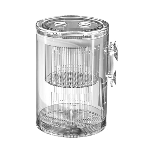 Züchterbox Für Fischtank, Aquariumzüchterbox, Zuchtbehälterkammer, Mehrere Anwendungen, Leichtes Gewicht, 11,6 X 8 X 8 cm, Für Betta Guppy Killifish Shrimps Züchterbox Für Fischtank, Aquariumzüchterbox, Zuchtbehälterkammer, Mehrere Anwendungen, Leichtes Gewicht, 11,6 X 8 X 8 cm, Für Betta Guppy Killifish Shrimps von Lpsdssre