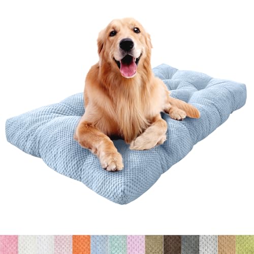 Lsjoaw Orthopädisches Hundebett 110x80x8cm Grosse Hunde Hundecouch Plüsch Hundekissen rutschfest Unterseite Mittelgroße Hundekörbchen Dog Bed Kleine Hundesofa Blau Lsjoaw Orthopädisches Hundebett 110x80x8cm Grosse Hunde Hundecouch Plüsch Hundekissen rutschfest Unterseite Mittelgroße Hundekörbchen Dog Bed Kleine Hundesofa Blau von Lsjoaw