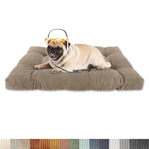 Lsjoaw Orthopädisches Hundebett 135x110x15cm Cordstoff Dog Bed Kleine Hundesofa Plüsch Hundekissen Grosse Hunde Hundecouch rutschfest Unterseite Mittelgroße Hundekörbchen Hellbraun Lsjoaw Orthopädisches Hundebett 135x110x15cm Cordstoff Dog Bed Kleine Hundesofa Plüsch Hundekissen Grosse Hunde Hundecouch rutschfest Unterseite Mittelgroße Hundekörbchen Hellbraun von Lsjoaw