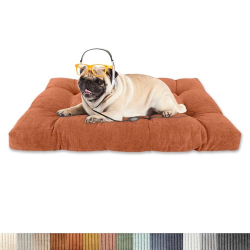 Lsjoaw Orthopädisches Hundebett 135x90x15cm Cordstoff Dog Bed Kleine Hundesofa Plüsch Hundekissen Grosse Hunde Hundecouch rutschfest Unterseite Mittelgroße Hundekörbchen Orange Lsjoaw Orthopädisches Hundebett 135x90x15cm Cordstoff Dog Bed Kleine Hundesofa Plüsch Hundekissen Grosse Hunde Hundecouch rutschfest Unterseite Mittelgroße Hundekörbchen Orange von Lsjoaw
