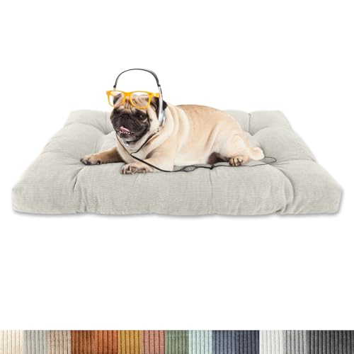 Lsjoaw Orthopädisches Hundebett 140x105x15cm Cordstoff Dog Bed Kleine Hundesofa Plüsch Hundekissen Grosse Hunde Hundecouch rutschfest Unterseite Mittelgroße Hundekörbchen Cremefarben Lsjoaw Orthopädisches Hundebett 140x105x15cm Cordstoff Dog Bed Kleine Hundesofa Plüsch Hundekissen Grosse Hunde Hundecouch rutschfest Unterseite Mittelgroße Hundekörbchen Cremefarben von Lsjoaw