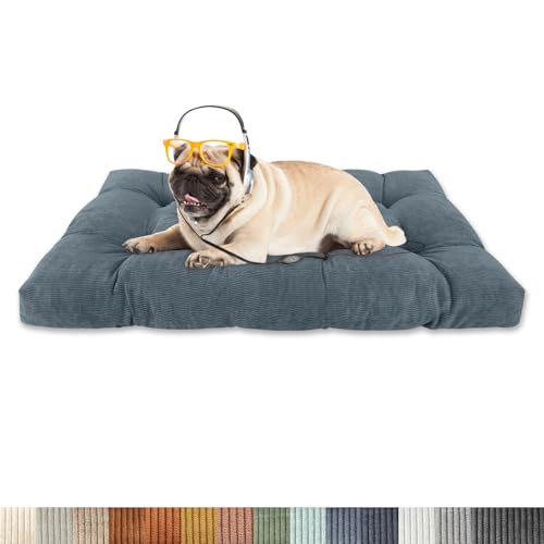 Lsjoaw Orthopädisches Hundebett 140x105x15cm Cordstoff Dog Bed Kleine Hundesofa Plüsch Hundekissen Grosse Hunde Hundecouch rutschfest Unterseite Mittelgroße Hundekörbchen Hellgraublau Lsjoaw Orthopädisches Hundebett 140x105x15cm Cordstoff Dog Bed Kleine Hundesofa Plüsch Hundekissen Grosse Hunde Hundecouch rutschfest Unterseite Mittelgroße Hundekörbchen Hellgraublau von Lsjoaw