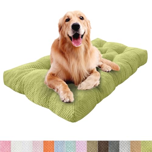 Lsjoaw Orthopädisches Hundebett 50x40x6cm Grosse Hunde Hundecouch Plüsch Hundekissen rutschfest Unterseite Mittelgroße Hundekörbchen Dog Bed Kleine Hundesofa FruchtgrüN von Lsjoaw
