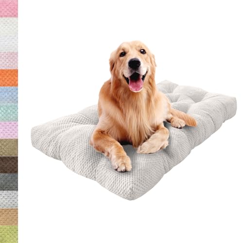 Lsjoaw Orthopädisches Hundebett 60x40x6cm Grosse Hunde Hundecouch Plüsch Hundekissen rutschfest Unterseite Mittelgroße Hundekörbchen Dog Bed Kleine Hundesofa Cremefarben von Lsjoaw