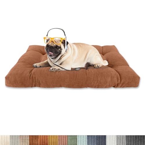 Lsjoaw Orthopädisches Hundebett 80x50x8cm Cordstoff Dog Bed Kleine Hundesofa Plüsch Hundekissen Grosse Hunde Hundecouch rutschfest Unterseite Mittelgroße Hundekörbchen DunkelOrange Lsjoaw Orthopädisches Hundebett 80x50x8cm Cordstoff Dog Bed Kleine Hundesofa Plüsch Hundekissen Grosse Hunde Hundecouch rutschfest Unterseite Mittelgroße Hundekörbchen DunkelOrange von Lsjoaw