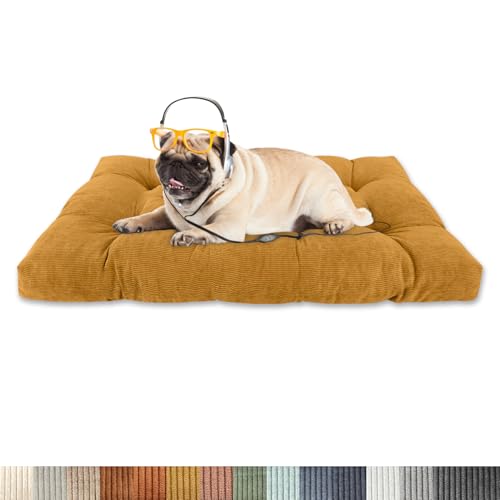 Lsjoaw Orthopädisches Hundebett 80x55x8cm Cordstoff Dog Bed Kleine Hundesofa Plüsch Hundekissen Grosse Hunde Hundecouch rutschfest Unterseite Mittelgroße Hundekörbchen Braun-Gelb Lsjoaw Orthopädisches Hundebett 80x55x8cm Cordstoff Dog Bed Kleine Hundesofa Plüsch Hundekissen Grosse Hunde Hundecouch rutschfest Unterseite Mittelgroße Hundekörbchen Braun-Gelb von Lsjoaw