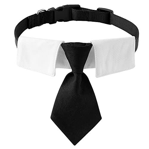 LtuzPet Hunde-Krawatte, Katzenhalsband, Hunde, Katzen, Krawatte, formelles Kostüm, Haustierhalsband, Party, Hochzeitszubehör LtuzPet Hunde-Krawatte, Katzenhalsband, Hunde, Katzen, Krawatte, formelles Kostüm, Haustierhalsband, Party, Hochzeitszubehör von LtuzPet