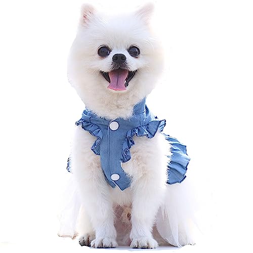 LtuzPet Sommer Prinzessin Hund Denim Kleid Hundekleidung Denim Kurzer Rock Katze Hund Schleife Spitze Weicher Haustier Rock Knopf Stil (Medium, Weiß) von LtuzPet