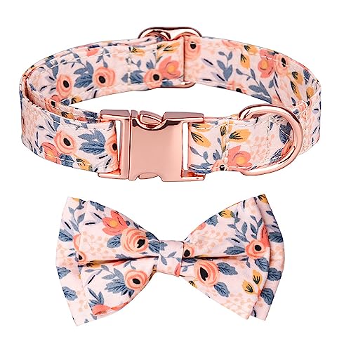 LtuzPet Verstellbares Haustier Halsband Reine Baumwolle Atmungsaktiv Hundehalsband Zou Ju Bedrucktes Halsband Katzen Hunde Frühling Sommer Saison Hundehalsband (M, orange-02) von LtuzPet