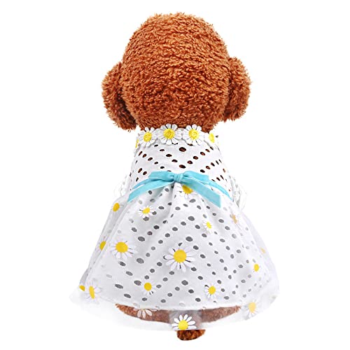 LtuzPet Vintage Sommer Kätzchen Welpen Kleid Haustier Hund Kleid Blumen Sommer Kleidung Outfit für Mädchen Haustiere von LtuzPet