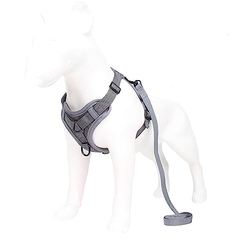 tuzPet Hundegeschirr mit Leine, reflektierendes Step-in-Welpengeschirr, atmungsaktiv, mit gepolsterter Weste, reflektierend für Hunde und Katzen 。 Traktionsgurt, verstellbar, einfach zu kontrollieren (L, Grau) tuzPet Hundegeschirr mit Leine, reflektierendes Step-in-Welpengeschirr, atmungsaktiv, mit gepolsterter Weste, reflektierend für Hunde und Katzen 。 Traktionsgurt, verstellbar, einfach zu kontrollieren (L, Grau) von LtuzPet