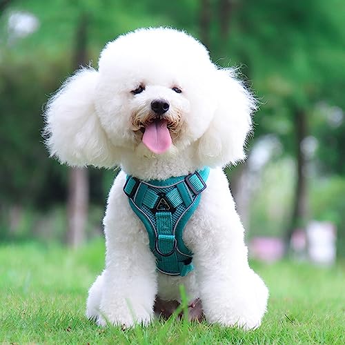tuzPet Hundegeschirr mit Leine, reflektierendes Step-in-Welpengeschirr, atmungsaktiv, mit gepolsterter Weste, reflektierend für Hunde und Katzen 。 Traktionsgurt verstellbar, einfach zu kontrollieren Halsband (M, Lblau) tuzPet Hundegeschirr mit Leine, reflektierendes Step-in-Welpengeschirr, atmungsaktiv, mit gepolsterter Weste, reflektierend für Hunde und Katzen 。 Traktionsgurt verstellbar, einfach zu kontrollieren Halsband (M, Lblau) von LtuzPet