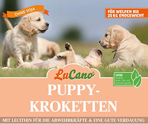 LuCano 20 kg Welpen - Puppy für kleine und mittelgroße Hunde | Premium Trockenfutter bis 12 Monate | Welpenfutter von LuCano