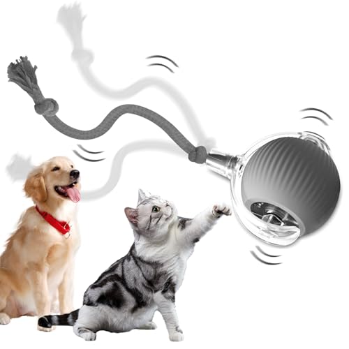 LuGirlre Pet Smart Rolling Ball, interaktiver Ball für Katzen, elektrisch, automatisch, wiederaufladbar, elektrisches Katzenspielzeug, interaktives Spielzeug für Katzen, intelligentes Spielzeug für von LuGirlre