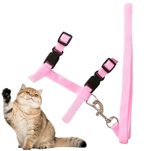 LuLiyLdJ Katzengeschirr mit Leine, Verstellbare Nylon Geschirre Katzenleine, Katzengeschirr mit Leine Ausbruchsicher, für Katzen und Kaninchen, 1 Stück LuLiyLdJ Katzengeschirr mit Leine, Verstellbare Nylon Geschirre Katzenleine, Katzengeschirr mit Leine Ausbruchsicher, für Katzen und Kaninchen, 1 Stück von LuLiyLdJ