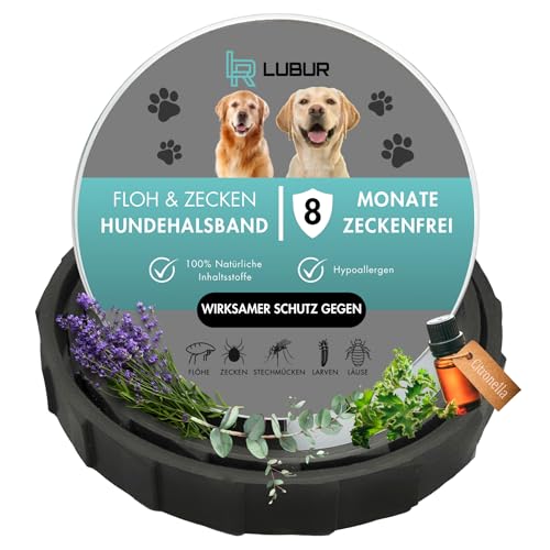 Lubur® Floh- und Zeckenhalsband für Hunde und Katzen - Natürlicher & effektiver Wirkstoff - bis zu 8 Monate wirksamer Schutz gegen Zecken und Flöhe (Hunde, Grau) von Lubur