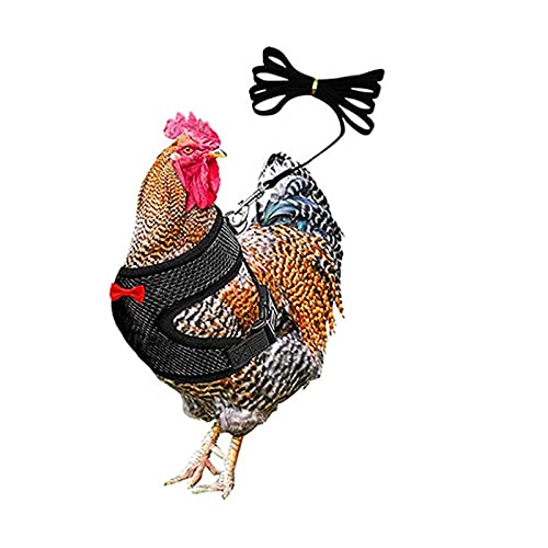 LucaSng Verstellbares Hühner-Geschirr mit Leine, elastisch, bequem, atmungsaktiv, für Enten/Gänse/Henne/Training, für Hennen, Ente, Welpen, atmungsaktiv, bequem, Haustiergeschirr (schwarz, M) von LucaSng