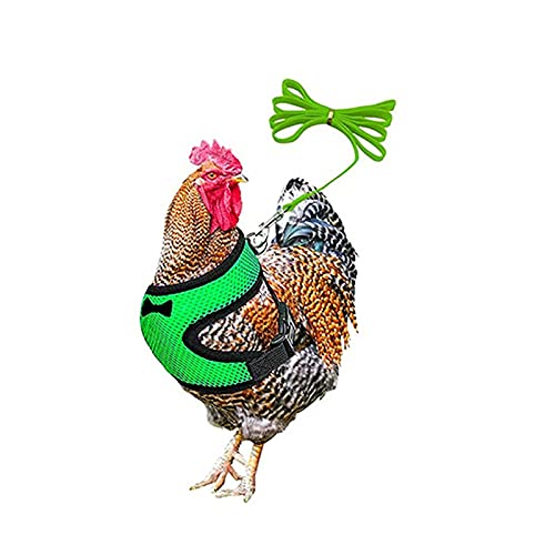 Verstellbares Hühner-Geschirr mit Leine elastisch bequem atmungsaktiv für Enten/Gänse/Hennen Training Spazierengehen für Hühner, Ente, Welpen, bequem, Haustiergeschirr (grün, M) von LucaSng
