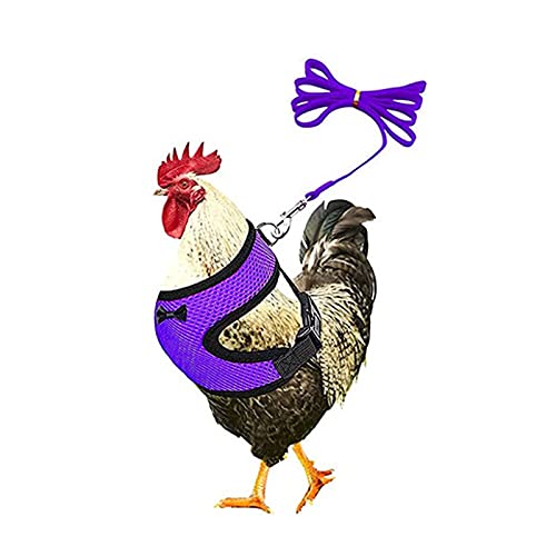 Verstellbares Hühner-Geschirr mit Leine elastisch bequem atmungsaktiv für Enten/Gänse/Hennen Training Spazierengehen für Hühner, Ente, Welpen, bequem, Haustiergeschirr (lila, M) von LucaSng