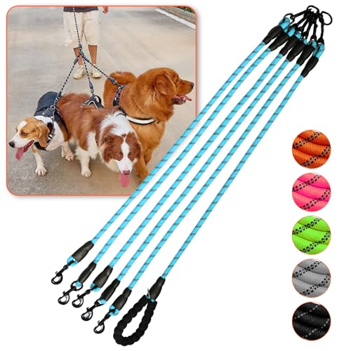 Five Dog Leash,5 Way Leash for Dogs,5 Leash Dog Walker,360° Swivel No Tangle Walking Leash for 5 Dogs,Comfortable 5 Dog Leash with Reflective Dog Leash for Walking and Training (Five Leashes, Blue) von Luck Dawn