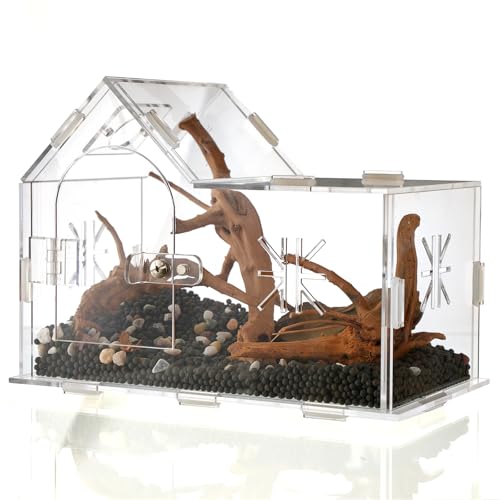 Springspinnengehege, Hausform, Acryl, Reptiliengehege, Farne, Sukkulenten-Terrarium, Insekten-Terrarium mit Tür vorne zum Öffnen, Lebensraum der Betermantis, Froschgehege, Amphibiengehege Springspinnengehege, Hausform, Acryl, Reptiliengehege, Farne, Sukkulenten-Terrarium, Insekten-Terrarium mit Tür vorne zum Öffnen, Lebensraum der Betermantis, Froschgehege, Amphibiengehege von LuckGeto