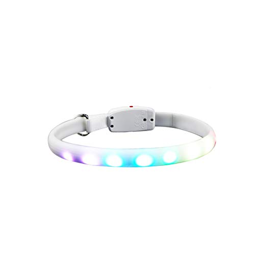 LED Hunde Leuchthalsband USB Wiederaufladbarer Nachtsicherheit Hundehalsband Leuchtend Halsband, Auf Jede Größe Zugeschnitten, Wiederaufladbare Lithiumbatterie, Mittleren Großen Hund von Luckxing