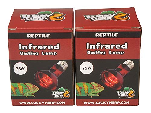 Lucky Herp Repti-Infrarot-Wärmelampe, 2er-Pack, E27, Schraubgewinde (75 W) von LUCKY HERP