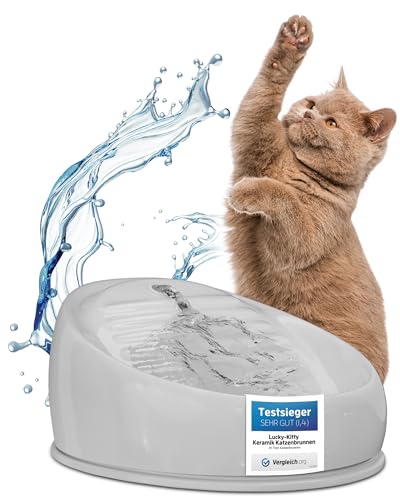 Lucky Kitty Trinkbrunnen für Katze grau I Katzenbrunnen Keramik Handarbeit, hygienisch I Kein Aufladen, kein Filter-Tausch I Trinkbrunnen leise & energiesparend I Wasserspender Katzen plastikfrei von Lucky-Kitty