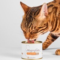 Lucky-Kitty Katzenfutter Pute 4x200 g Lucky-Kitty Katzenfutter Pute 4x200 g von Lucky-Kitty
