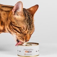 Lucky-Kitty Maus Pur (100% Maus) 12x100 g von Lucky-Kitty