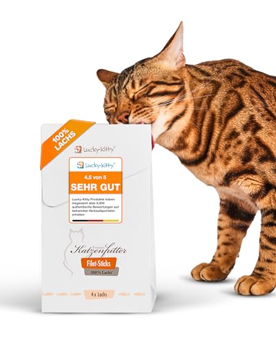 Lucky-Kitty Premium Katzensnacks I 4x4 Filet Sticks I Leckerli für Katzen, 100% Filet im Fleischanteil I Saftig & nährstoffreich; ohne Getreide, Zucker I Artgerechte Katzensticks (16 x 22g, Lachs) von Lucky-Kitty
