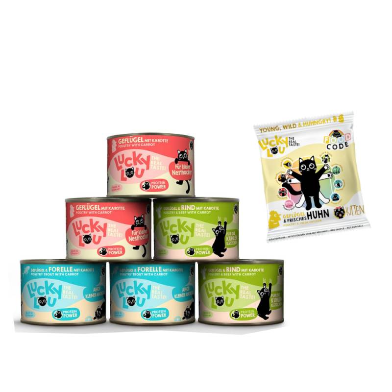 6 x 200 g Lucky Lou Lifestage Kitten Nassfutter + 50 g Geflügel & Huhn Trockenfutter gratis! - Mixpaket (3 Sorten) von Lucky Lou