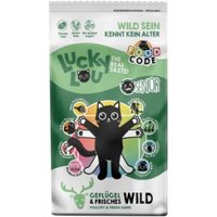 Lucky Lou Food Code Trockenfutter Katze, Senior, Geflügel und Wild 340 g von Lucky Lou